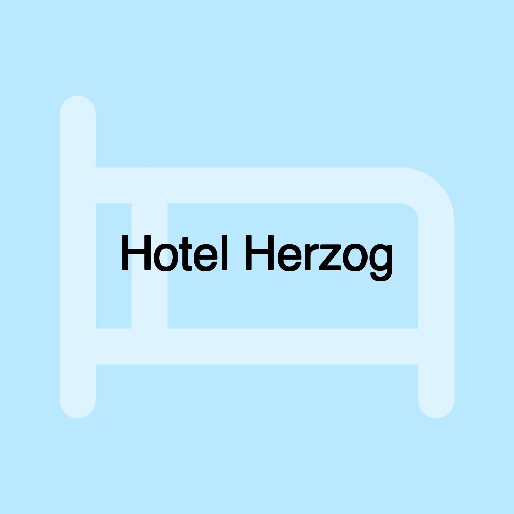 Hotel Herzog