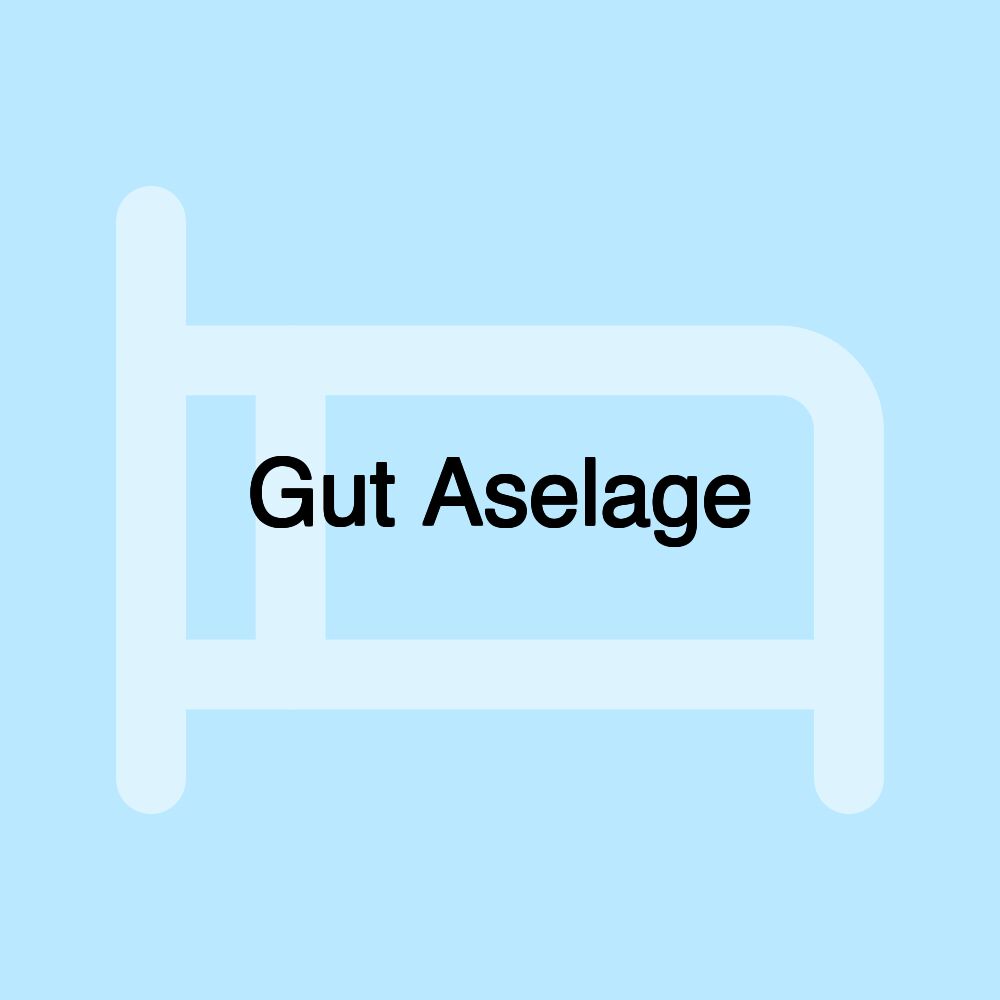 Gut Aselage