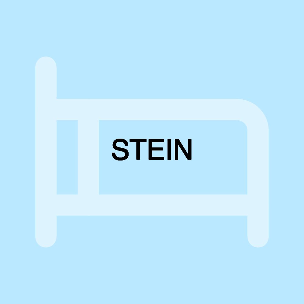 STEIN