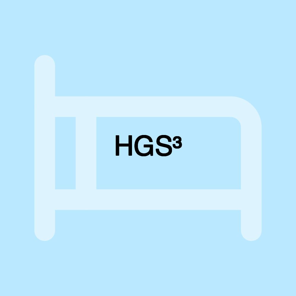 HGS³