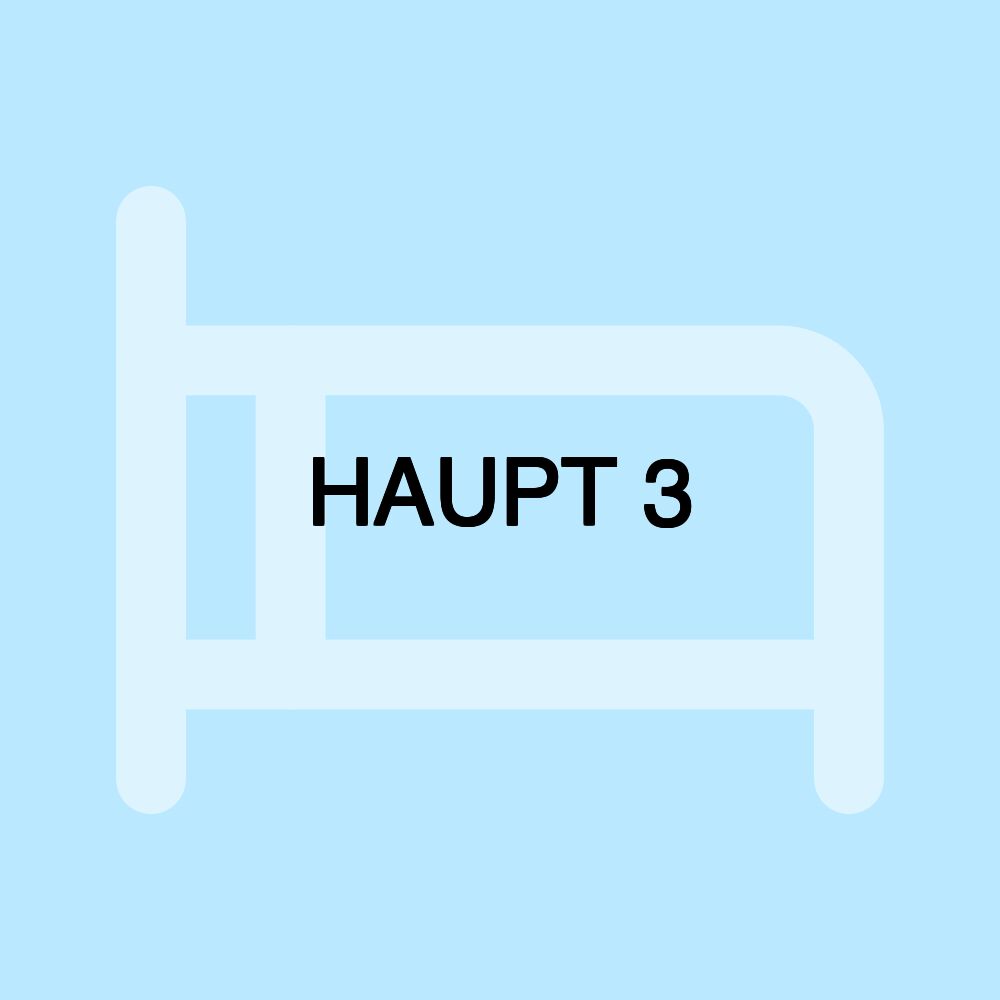 HAUPT 3