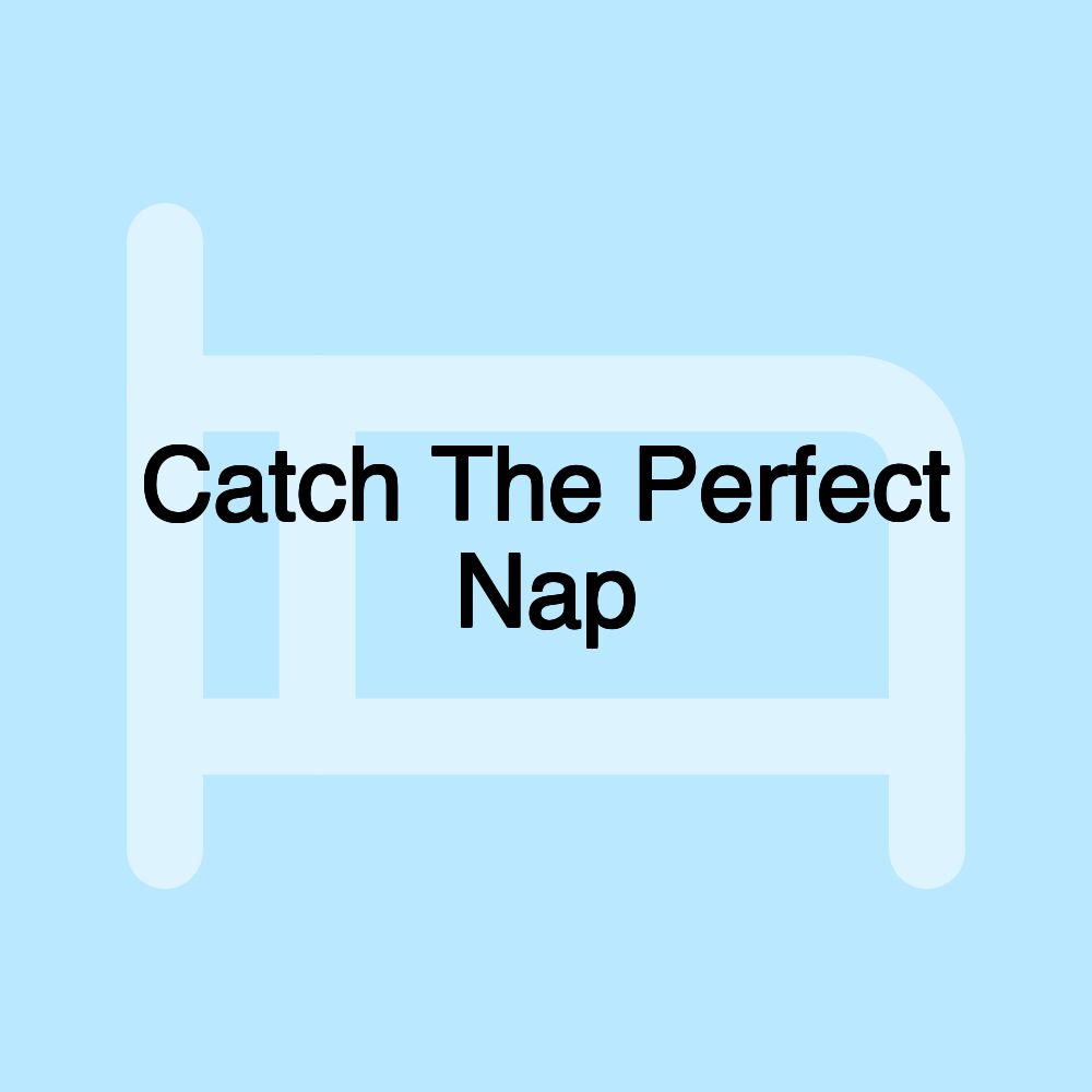 Catch The Perfect Nap